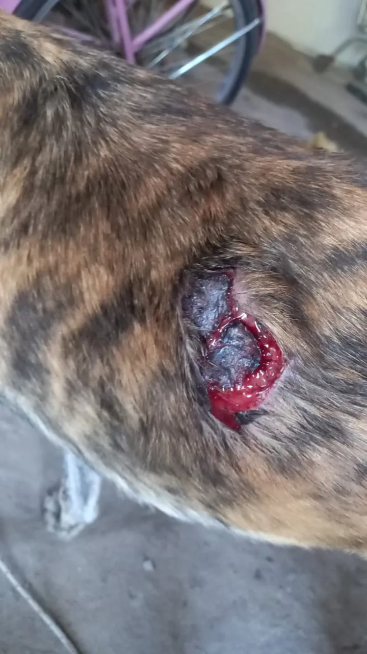 WhatsApp Image 2023-08-28 at 09.29.31 (2)