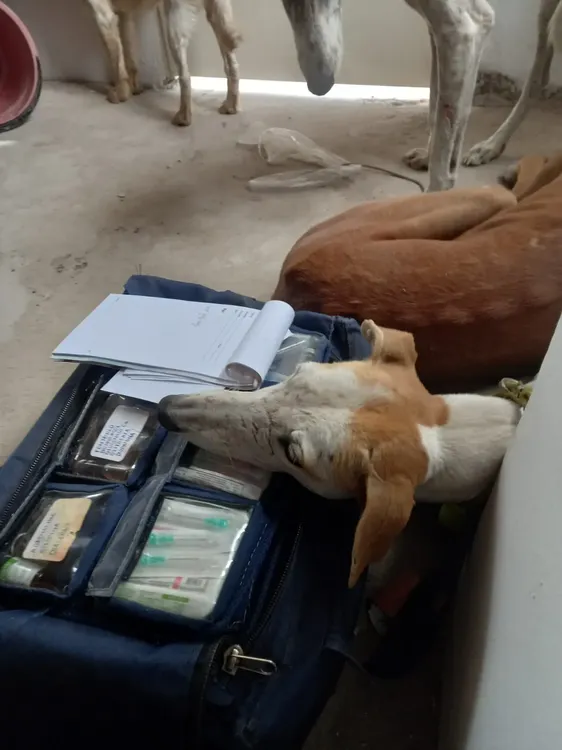 WhatsApp Image 2023-08-28 at 09.29.31 (1)