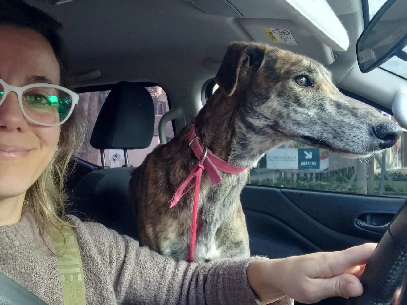 WhatsApp Image 2023-08-28 at 09.29.30