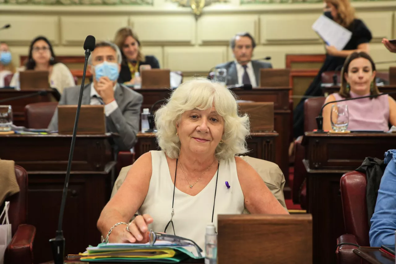 matilde-bruera-diputados