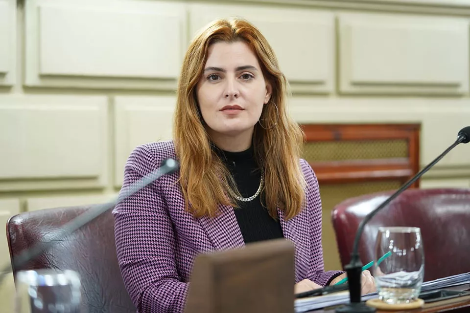 Catallani-Diputada